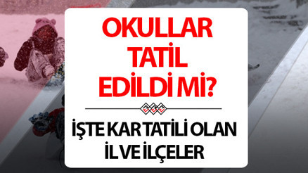 BUGÜN OKULLAR TATİL Mİ 11 ŞUBAT 2026 ÇARŞAMBA SON DAKİKA | Bugün okul var mı Ağrı, Van, Muş, Artvin, Erzurumda okullar tatil edildi mi, nerelerde okullar tatil Valiliklerden açıklama geldi