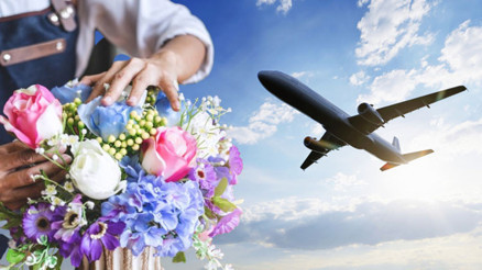 Çiçeklerin dünyaya bu kadar zarar verdiğini biliyor muydunuz Sevgililer Günü’nde sevgilinize alırken bir kere daha düşünün