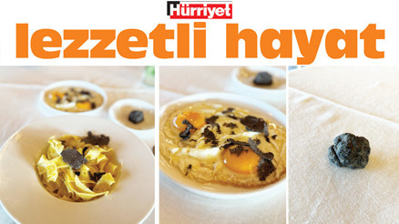 Konsantrasyon trüf avının en belirleyici unsuru