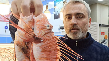 Tezgahta satışı yasak: Zehirli olmasına rağmen özel müşterisi var