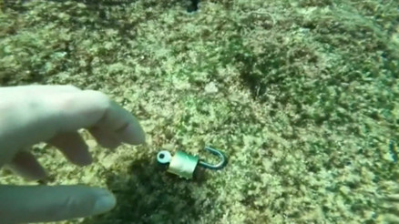 Denizden çıkanlar şoke etti: Büyü amaçlı kullanıyorlarmış