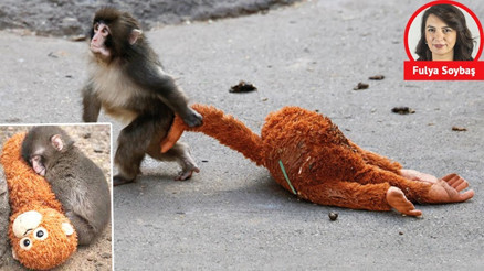 Punch sen bize ne yaptın böyle