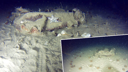 Marmara Denizindeki 51 yıllık sır: 42 kişiye mezar olmuştu Düşen uçakla ilgili yeni görüntüleri ortaya çıktı Marmara Denizindeki 51 yıllık sır: 42 kişiye mezar olmuştu Düşen uçakla ilgili yeni görüntüleri ortaya çıktı