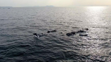 2. CEMRE DÜŞME TARİHİ 2026 - CEMRE SIRASI VE GÜNLERİ | İkinci cemre ne zaman düşecek, cemre suya ne zaman düşer, hangi gün Cemre düşmesi sıralamaları, günleri ve takvimi