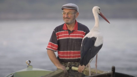 Yaren leylek geldi mi Baharın müjdecilerinden Yaren leylek geri döndü mü