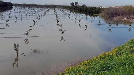 Şahin Bilgiç: Yağışları fırsata çevirmeliyiz