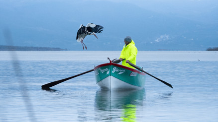 Gelen Nazlı değil, Yaren’miş... Yaren Leylek 15. yılda da Adem Amcanın kayığında