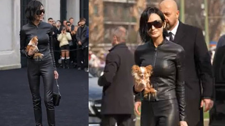 Kucağında köpeği olmasa kimse tanımayacaktı: Çabuk söyle, kimsin sen