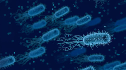 Bağırsak kanserinin nedeni bir virüs mü