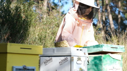 Külün içinden doğan şifa