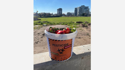 Gençlerden iklim değişikliği ve gıda güvenliği için farkındalık projesi