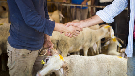 Kurban Bayramı tatili 9 gün olur mu Kurban Bayramı tatili 2026 ne zaman, kaç gün tatil olacak