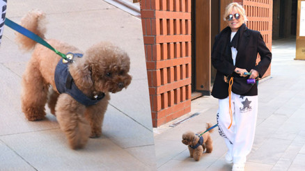 Tina’yla Boğaz havası