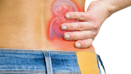 TBV’den dev böbrek maketli kampanya... Türkiye’de 72 bin diyaliz hastası var