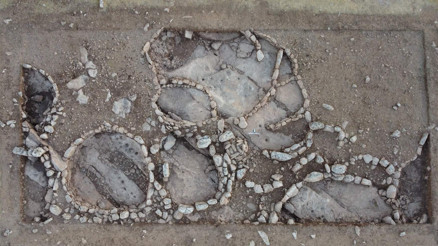 Göbeklitepenin atası Çakmaktepe