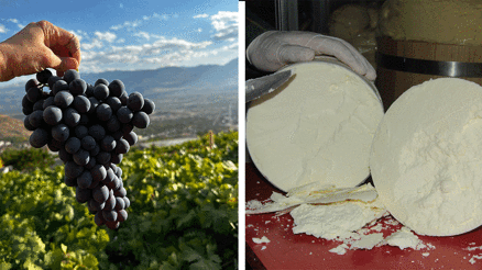 Erzincan Tulum Peyniri ve Cimin Üzümü dünya çapında tescillendi