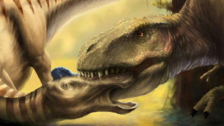 T.rex’in dişi avının kafasında bulundu T.rex’in dişi avının kafasında bulundu