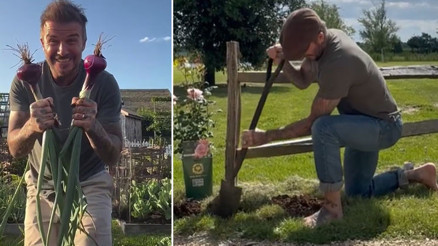 Göz bebeği oğlu onu hoyratça can evinden vurdu... Acısını milyonluk bahçesinde unutuyor: Toprak en sadık dostu oldu