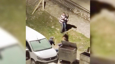 Zorba kocaya komşu dayağı