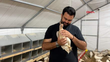 Otomobilini satıp hayali olan tavuk çiftliğini kurdu