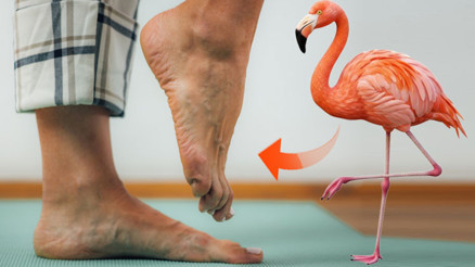 Şaşırtan flamingo testi: Tek ayak dengesi vücudunuzun kaç yaşında olduğunu gösterebilir