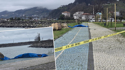 Ordunun Fatsa ilçesi sahiline vurdu: Ekipler harekete geçti