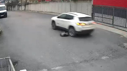 Avcılarda vicdanları sızlatan olay: Köpeği ezip yoluna devam etti