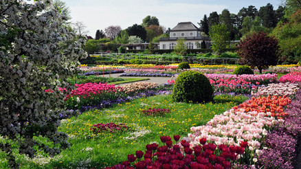 Münih Botanik Bahçesi doğa severler için bir cennet