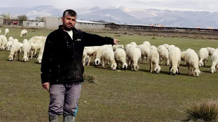 Yeme içme ve sigorta da işverene ait: Bu maaşla çalışacak çoban bulamıyorlar