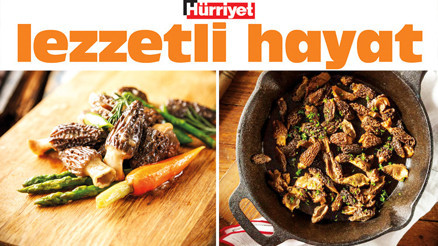 Kuzugöbeği mevsimi açıldı Baharın en aromatik, en nadide tadı