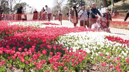 İstanbul çiçek açtı