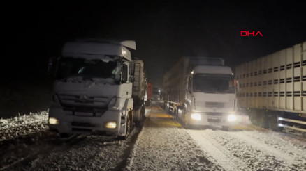 Erzurum-Artvin kara yolunun Güzelyayla Geçidinde kar ve tipi; araçlar yolda kaldı