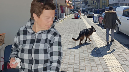 Alman kurduyla dalaşan köpek, kendisini tutan sahibinin parmağını parçaladı