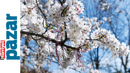 İstanbul’un en cıvıl cıvıl, en renkli günleri başladı