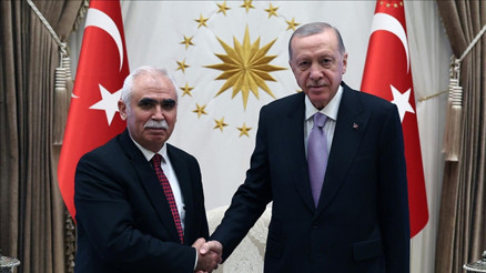 Cumhurbaşkanı Erdoğan, AYM Başkanı Özkayayı kabul etti