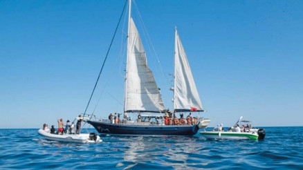 SUMUD Filosu’na müdahale... Girit’te aktivist krizi
