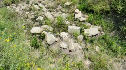 Villa inşaatı izni verilen 2,5 dönümlük alanda 8 Roma mezarı çıktı