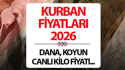 BU YILIN KURBAN FİYATLARI 2026 CANLI HAYVAN KİLOGRAM BÜYÜKBAŞ-KÜÇÜKBAŞ GÜNCEL KG FİYATI || Kurbanlık fiyatları ne kadar Bu yıl koyun, keçi, küçükbaş, dana, büyükbaş kurbanlık fiyatları ne kadar, kaç TL