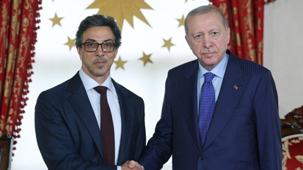 Cumhurbaşkanı Erdoğan, BAE başkan yardımcısını kabul etti