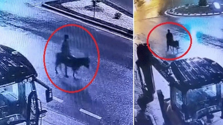 Kuyumcudan altınları çalıp eşekle kaçırmıştı… Cezası belli oldu
