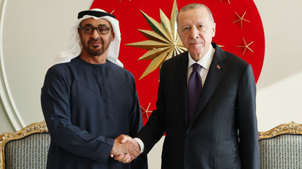 Cumhurbaşkanı Erdoğan, BAE Devlet Başkanı ile görüştü
