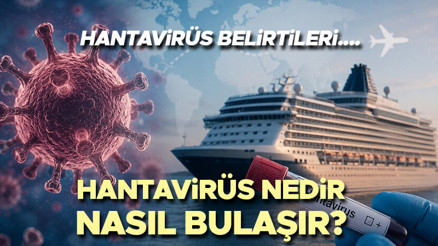HANTAVİRÜS NEDİR NASIL BULAŞIR || Hantavirüs belirtileri nelerdir, bulaşıcı mı, insandan insana bulaşır mı Hantavirüs hastalığı aşısı ve tedavisi var mı Sağlık Bakanlığı açıkladı Dünyayı alarma geçiren hantavirüs hakkında bilgiler...