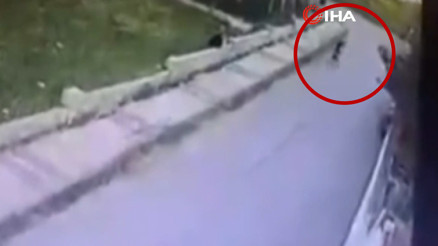 Büyükçekmece’de korkunç olay