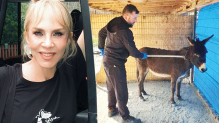 Sertab Erener o eşeği sahiplendi