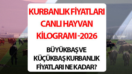 KURBANLIK FİYATLARI 2026 - CANLI HAYVAN KİLOGRAMI (KÜÇÜKBAŞ BÜYÜKBAŞ) | İstanbul ve diğer illerde kurbanlık fiyatları ne kadar, kaç TLden başlıyor Migros fiyatları duyurdu... Koyun, koç, dana, sığır kurbanlık fiyatları listesi 2026