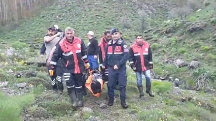 Sivasta mantar toplarken ayı saldırısında yaralandı
