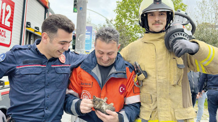 İstanbul İtfaiyesi’nden yavru kedi operasyonu İstanbul İtfaiyesi’nden yavru kedi operasyonu