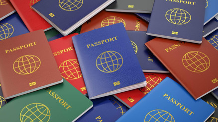 Almanyada çifte pasaporta ilgi büyük