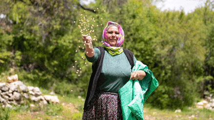 Mersinde atalık tohumlar toprakla buluşuyor
