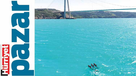 Bir ‘ekosistem’ meselesi...